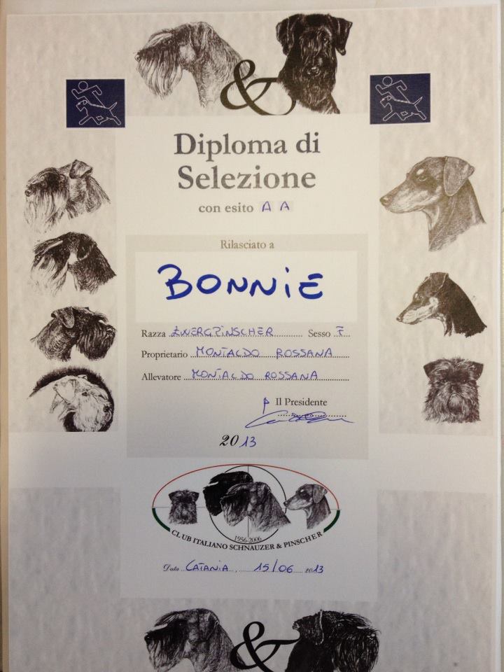 Diploma di selezione Bonnie Du DeMon Dog