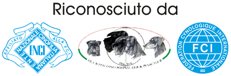 Riconosciuto da ENCI, FCI e CISP